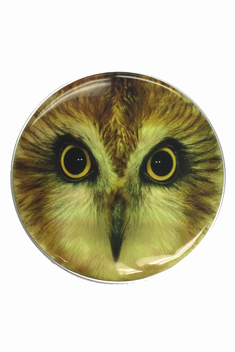 Hooting Owl Drum Head Custom Graphic Owl Resonant Bass Drum