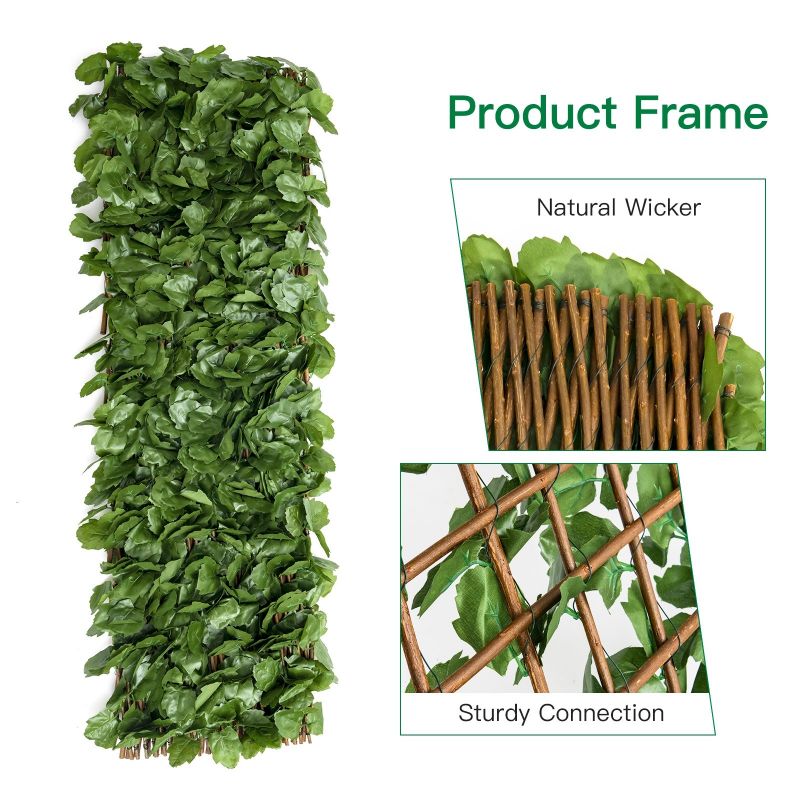 Product thumbnail 12