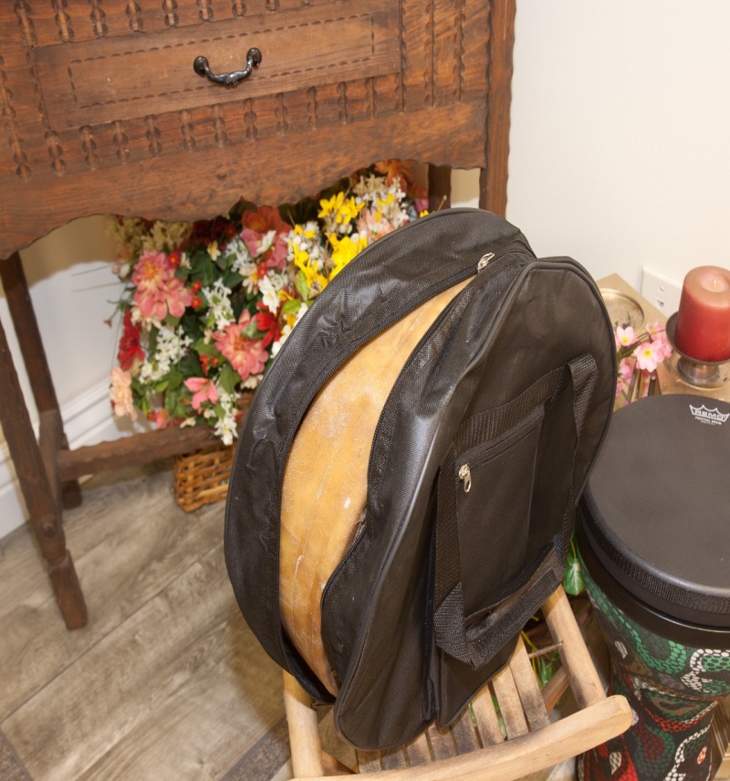 Roosebeck Economy Gig Bag For Bodhran 14-By-4-Inch