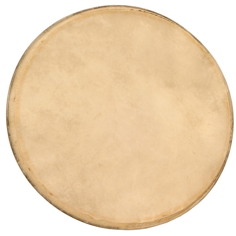 Mid-East Premounted Goatskin Head For Pandeiro 13-Inch