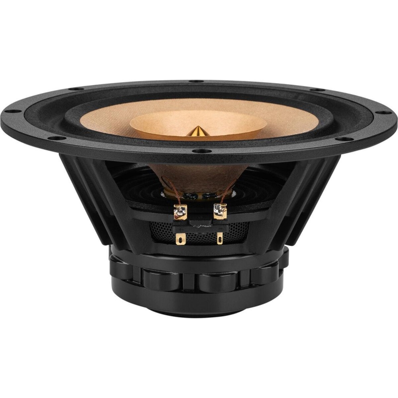 Tang Band W8-1772 8" Neodymium Full Range Driver