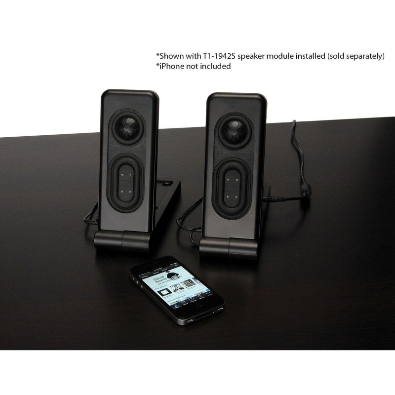 Tang Band Kit-0041 Speaker Module Mounting Kit With Amp