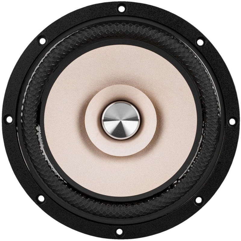Tang Band W8-2145 8" Paper Cone Full Range Driver 8 Ohm