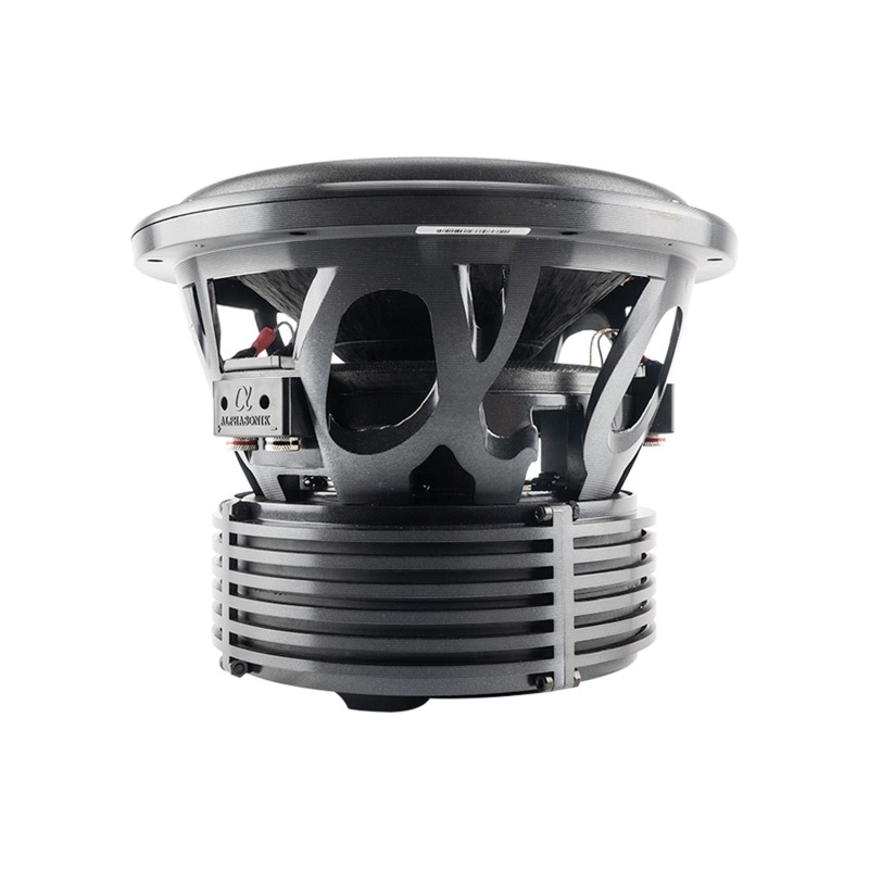 Alphasonik Vsw810 10" Venum Series Subwoofer