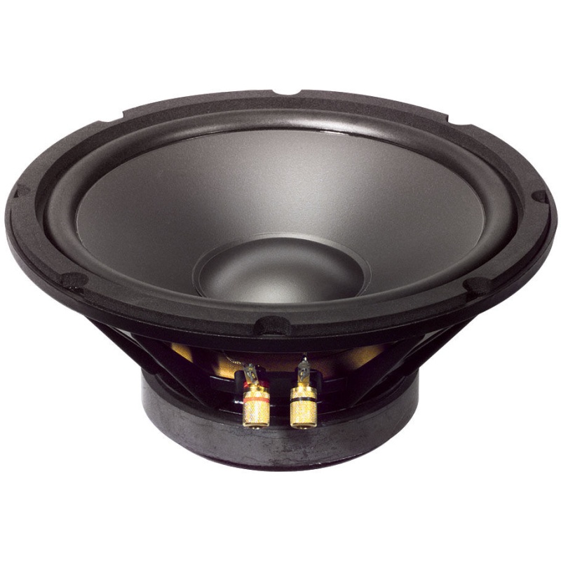 Goldwood Gw-10Pc-4 10" Heavy Duty Woofer 4 Ohm