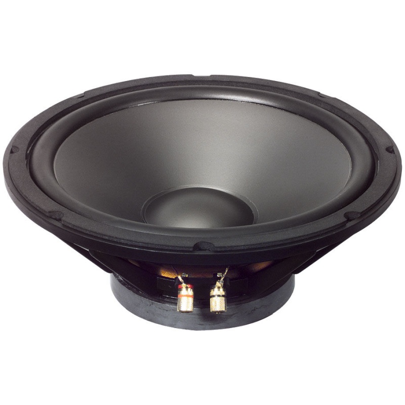 Goldwood 12-Inch Heavy Duty Delmar Series Woofer, 8 Ohm