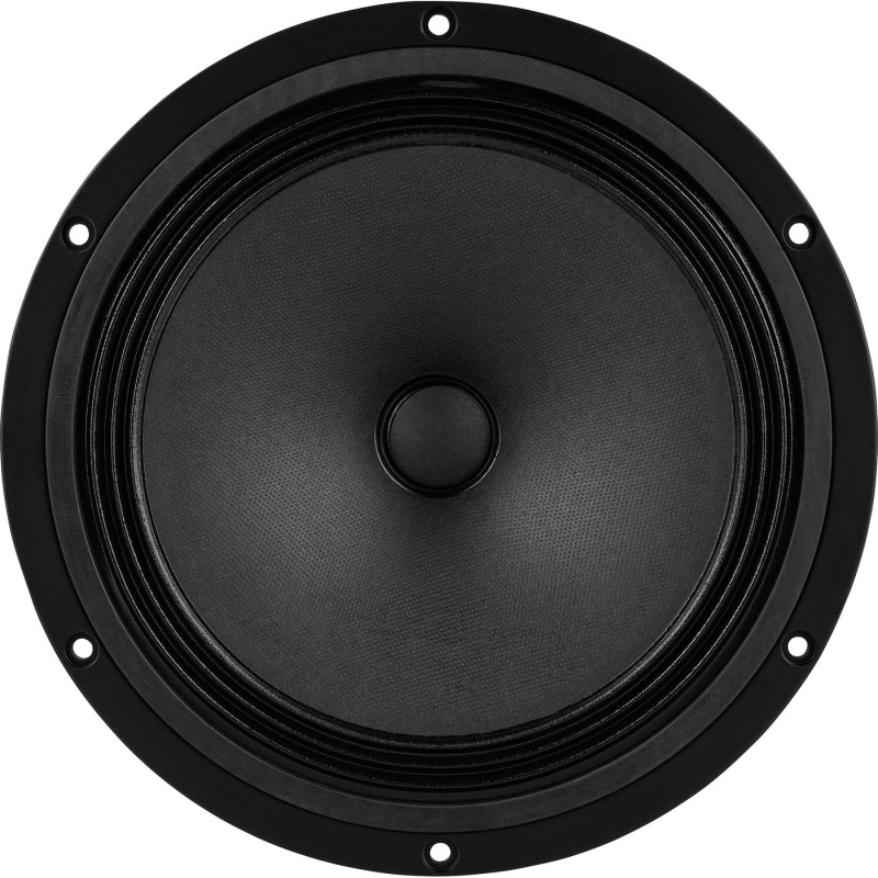 Visaton B 200 8" Full-Range Driver 6 Ohm