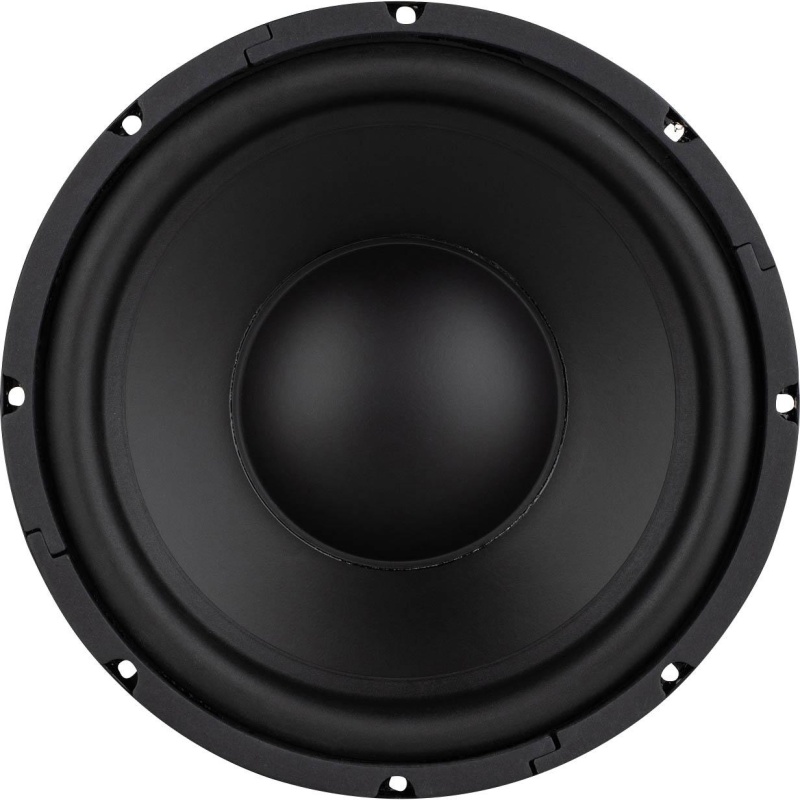 Lavoce Ssf102.50L 10" Paper Cone Subwoofer