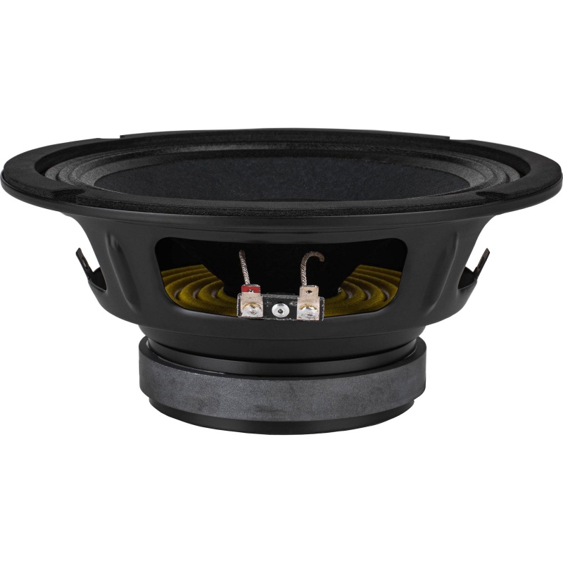 Prv Audio 8Fr250 8" Full-Range Speaker