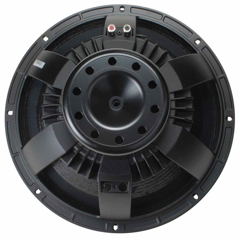 B&C 15Nw100 15" Neodymium Subwoofer Speaker Driver