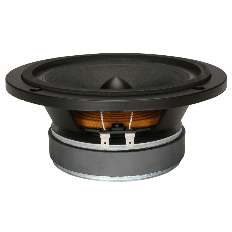 B&C 6Pev13 6-1/2" Midrange Speaker