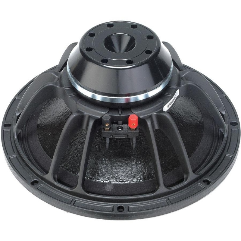 B&C 12Nw76 12" Neodymium Woofer