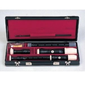 Aulos "Symphony" Series Soprano/Alto Set