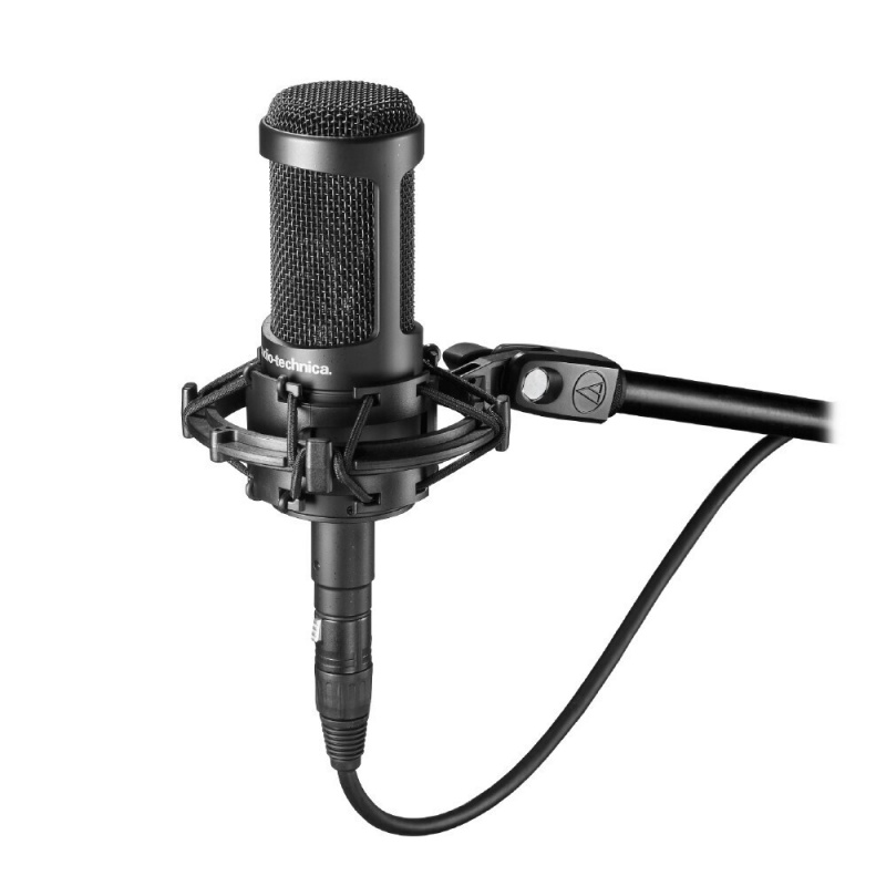 Multi-Pattern Condenser Side-Address Microphone
