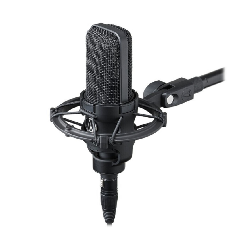 Cardioid Condenser Microphone With Shock Mount