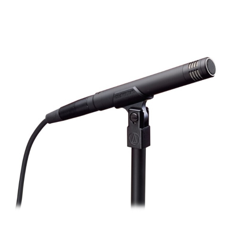 Cardioid Studio Condenser Microphone
