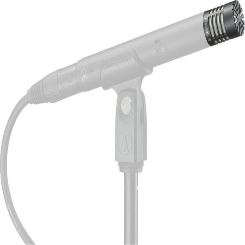 Hypercardioid Capacitor Mic Capsule