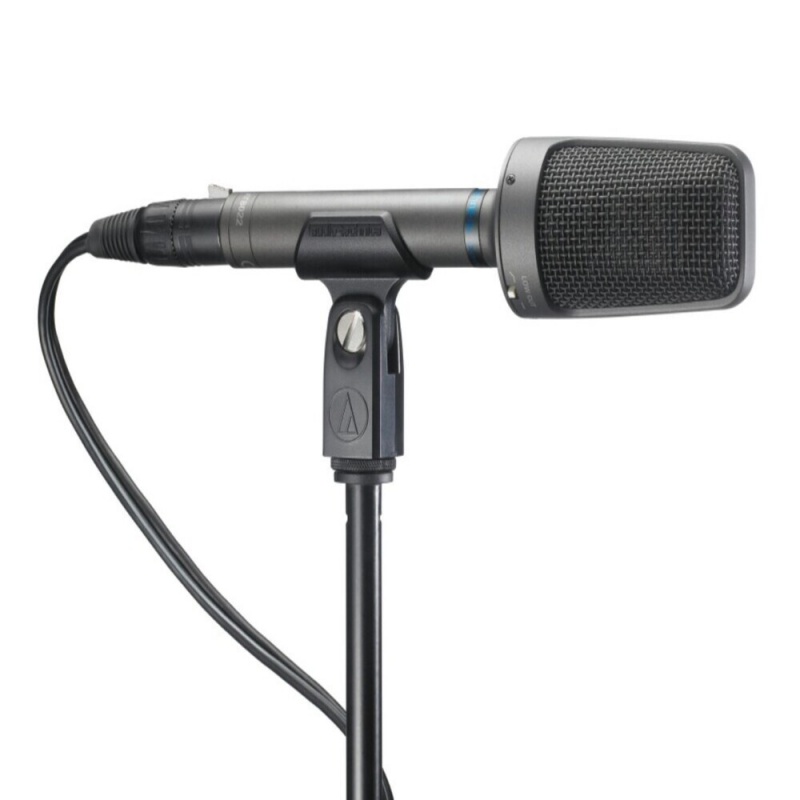 Professional X/Y Stereo Microphone