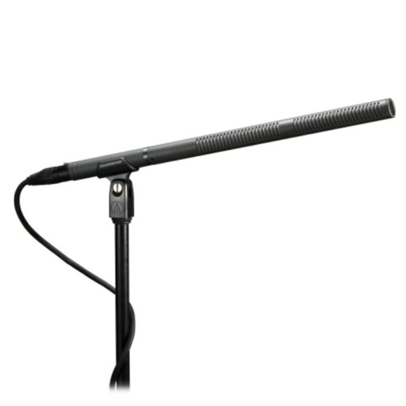 Line And Gradient Condenser Microphone