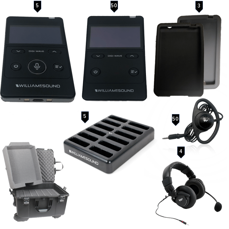 Rechargeable Digi-Wave 400 Series Interpretation System