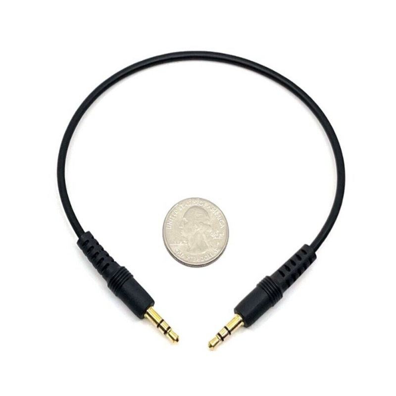 3.5Mm Patch Cable With Two Male Plugs – 12″ Long