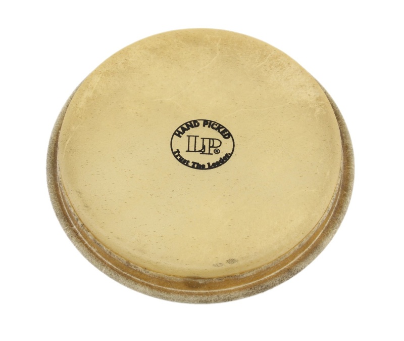 Lp Large Head For 1964 Bongos