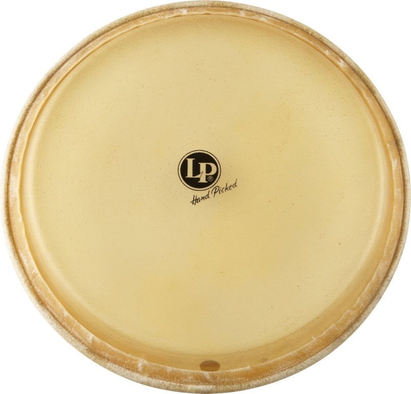 Lp Conga Head 12.5