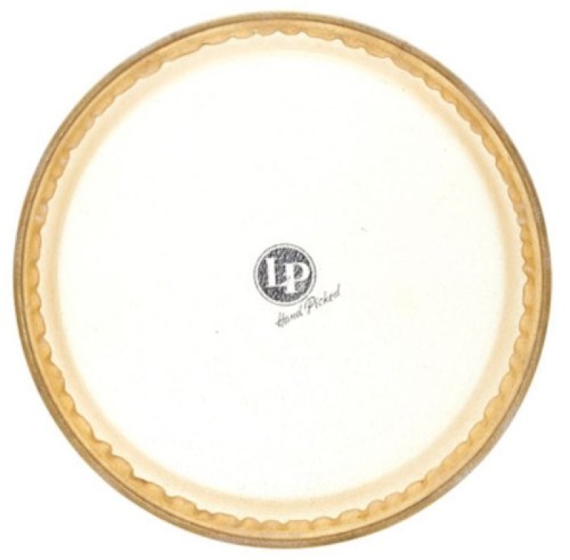 Lp 11" Galaxy Quinto Rawhide Head