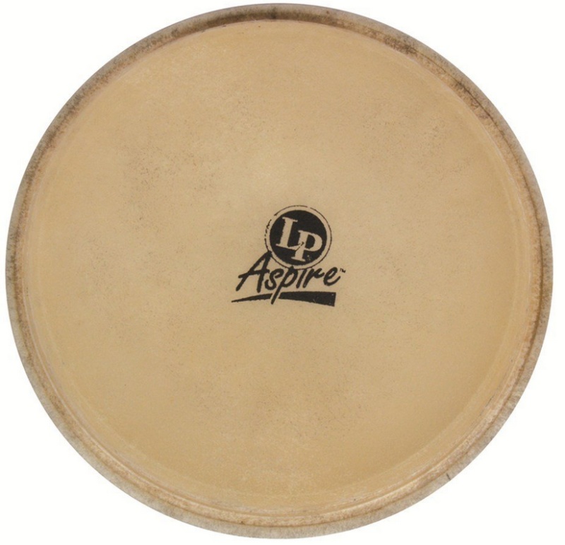 Latin Percussion Small City Series Bongo Head