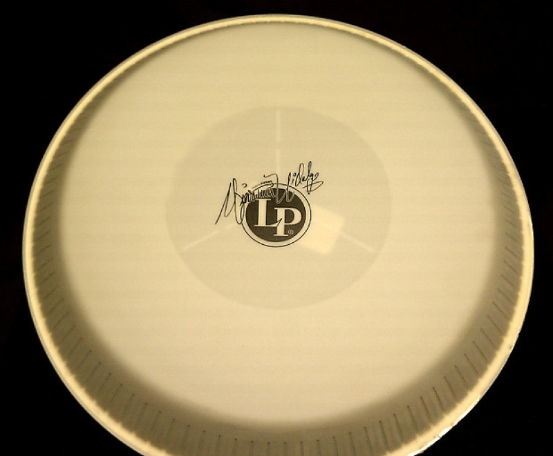 Lp Replacement Head- 9 3/4" Evans Synthetic Requinto Z Series Rim