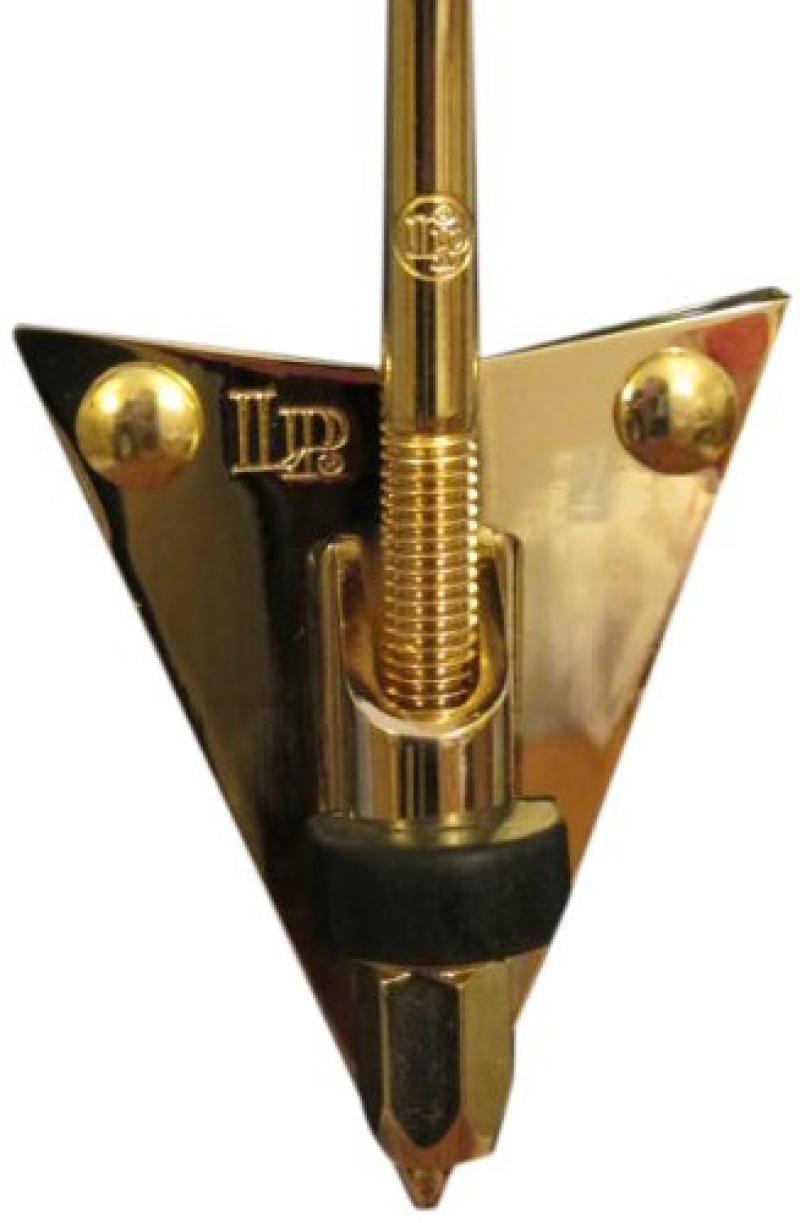 Lp Conga Galaxy Side Plate Kit, Gold