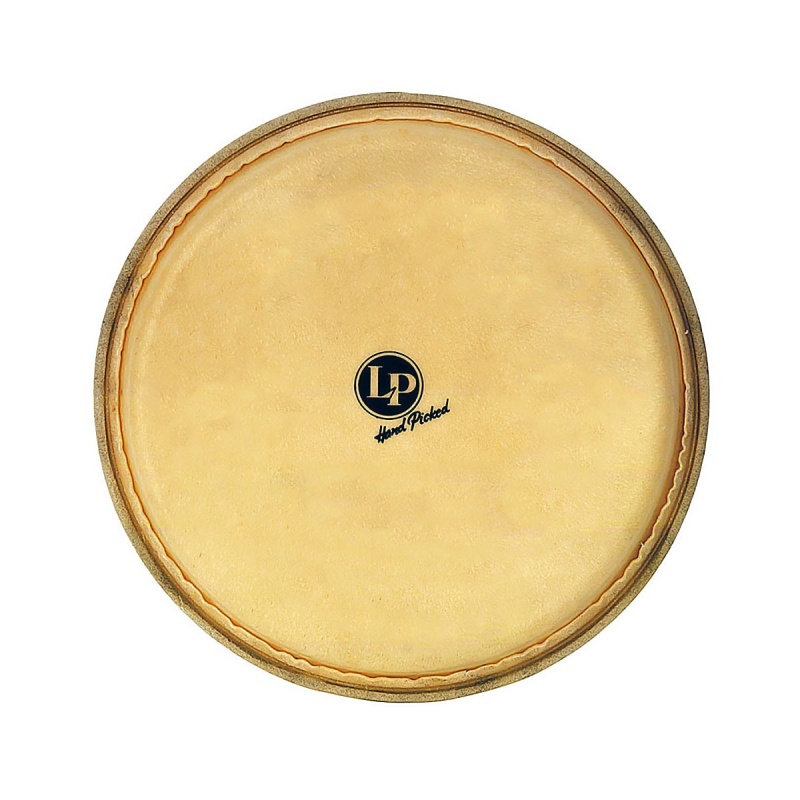 Lp Replacement Dandy Macho Head 7-1/4" For Lpl201a-Jr