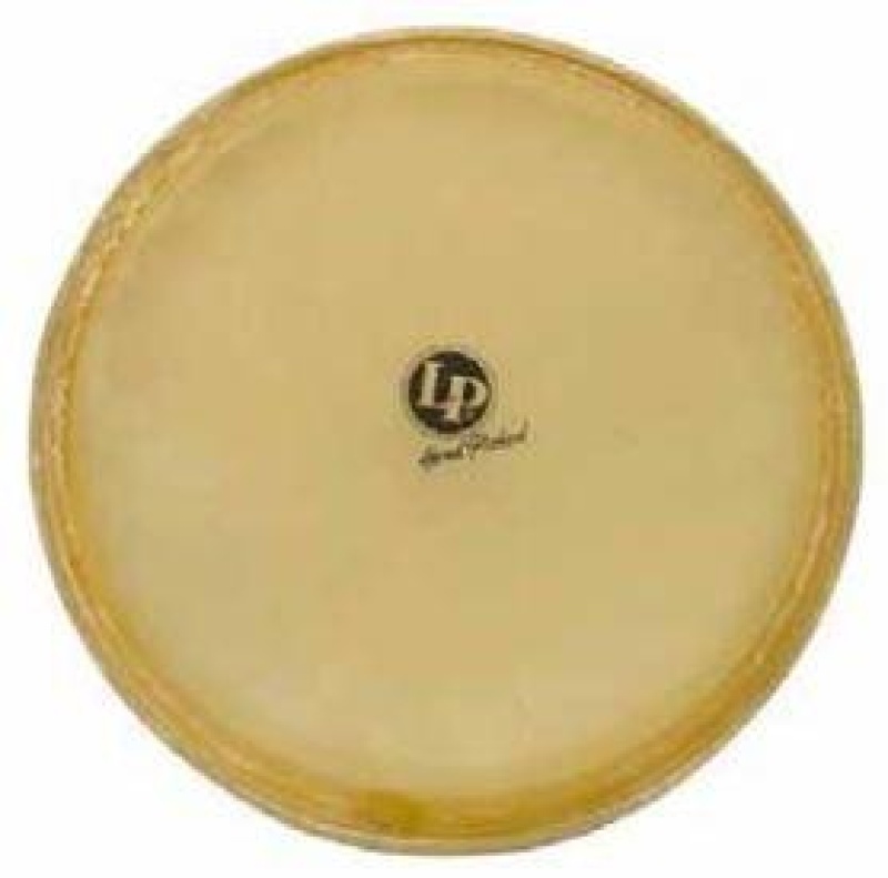 Lp Performer Series 11" Quinto Head