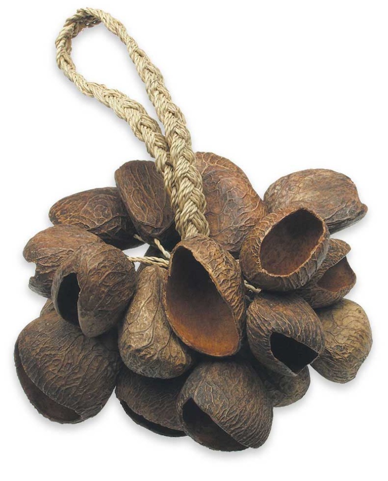 Toca Seed Shell Shaker On Handle